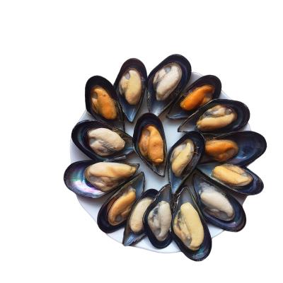 China FROZEN Blue Mussel Frozen Meat in Shellfish Scientific Name for sale