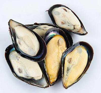 China FROZEN Frozen Cooked Half Shell Mussel for sale