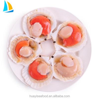 China Low Blood Pressure Scallops IQF Frozen Eggs for sale