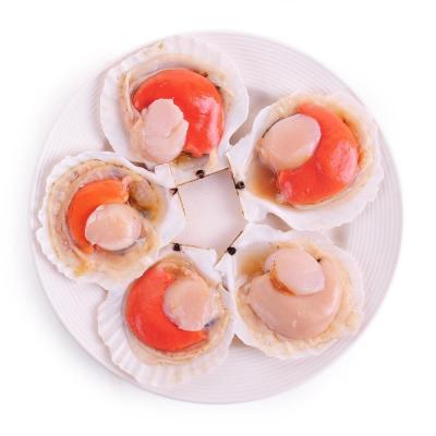 China Hokkaido frozen scallop of low blood pressure for sale