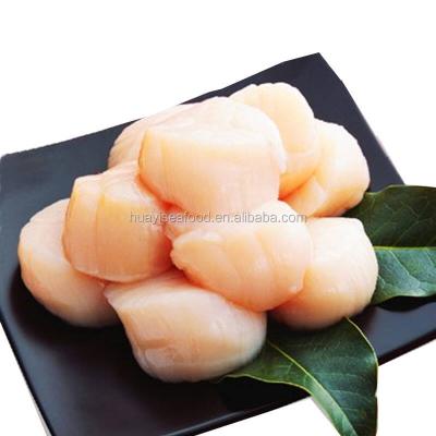 China FROZEN frozen scallops are available year round for sale