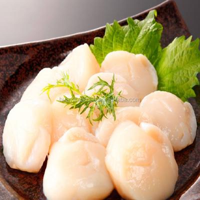 China FROZEN frozen scallops are really great protein and zinc for sale