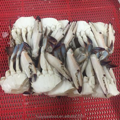 China Crab FROZEN Cut Seafood for sale