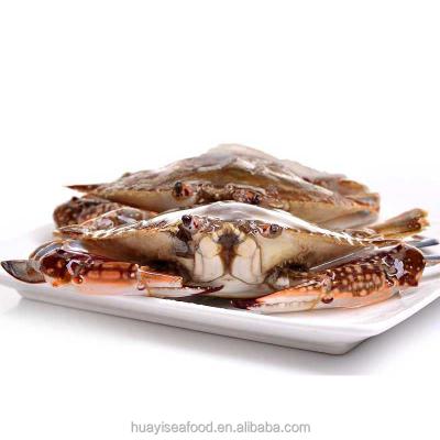 China FROZEN Alive Blue Swimming Crab Suppliers for sale