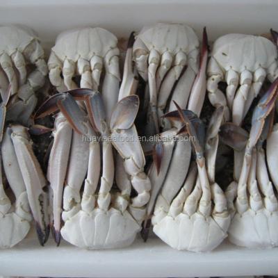 China FROZEN half cut crab for sale