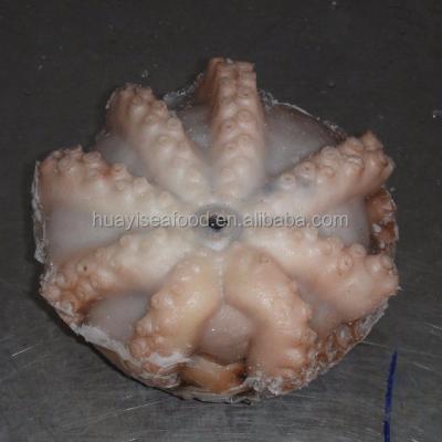 China Whole octopus frozen frozen for sale