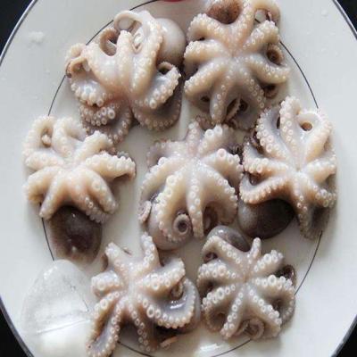 China Baby fresh live frozen octopus seafood octopus wholesale price Huayi7228 for sale