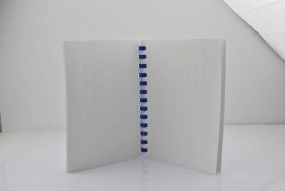 China libros ilustrados de impresión de papel de Digitaces Braille de la cartulina blanca de 700 * de 560m m para los niños en venta