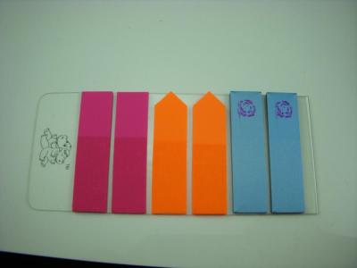 China Customized Yellow Sticky PET Printed Post - it Personalized Memo Pads For Students for sale