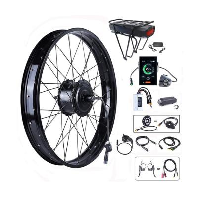 China Akkubici 750w 48v Single Wheel Electric Bicycle Rear Wheel Hub Motor Kit D/DC Type 20