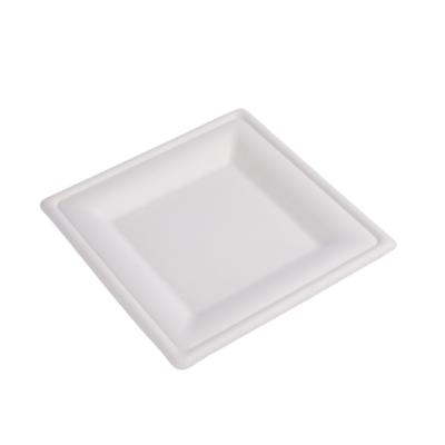 China Disposable Degradable Noodle Bagasse 8 Inch Square Christmas Decorations Cake Disposable Dish for sale