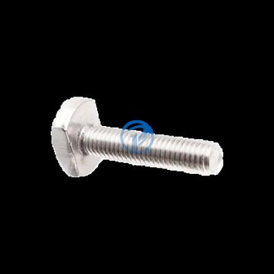 China fast & Easy Installation Construction Bolt Single Channel Top Fastening Embedded T-Bolt for sale