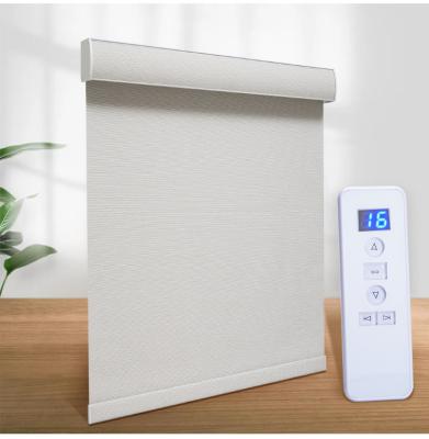 China Google Alexa Window Curtain Motor Polyester Tubular Refillable Roller Shade Smart Horizontal Roller Blinds for sale