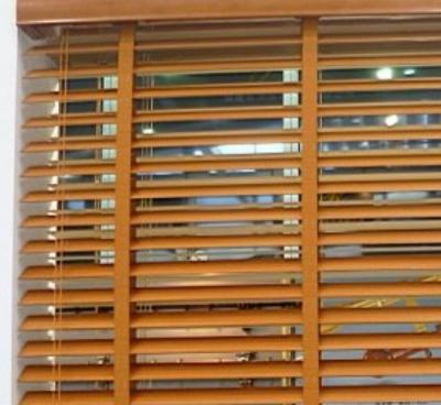 China Art Decor Smart Blind Motor Venetian Blind Electric Automatic Window Shades for sale