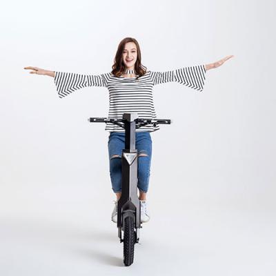 China Aluminum alloy Smart 12 inch folding bike 350w 48v foldable ebike full suspension fat tire electric electric bike for sale