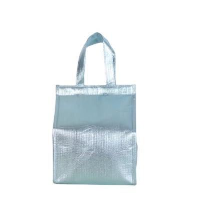 China Waterproof Velcro Strip Insulated Non Woven Cooler Bag For Food Storage for sale