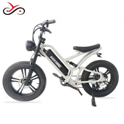 China Boxu 2022 Fat Hub Aluminum Alloy Motor 48V 500W Spoked Wheels F/R Disc Brake Rear Brushless Cycle Electric Bike Stack Bike for sale