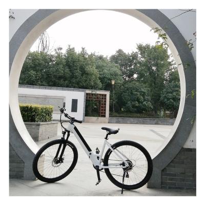 China 250w alloy lithium battery aluminum 350w hidden step through electric bike ebike road electric bike for sale