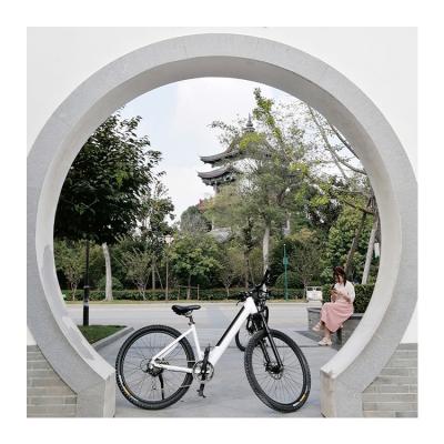 China Aluminum alloy boxu 250w lithium battery 350w hid step by bike cheap electric bicycle other electric bike for sale