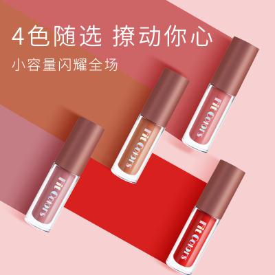 China Sunscreen Fit Colors Border Exclusive Matte Velvet Moisturizing Lip Gloss Lip Gloss Lipstick 4 Piece Travel Kit for sale