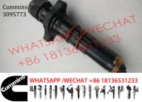 China K19 KTA19 Common Rail Injector 3095773 4307427 3042245 for sale