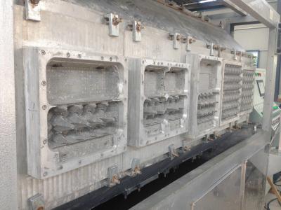 China Fully Automatic Egg Carton Making Machine 5000pcs / Hour With High Efficiency for sale