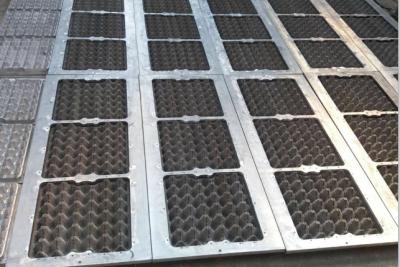 China Pulp Egg Tray Mould Good Aseismatic Capability With Aluminium Material for sale