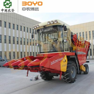 China Harvesting 3 Rows PTO Corn Harvester For Sale for sale