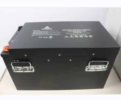 China Lithium-Ionen-Batterie des Sonnensystem-tiefe Zyklus Lifepo4 24v 300ah mit beweglicher Überwachung zu verkaufen