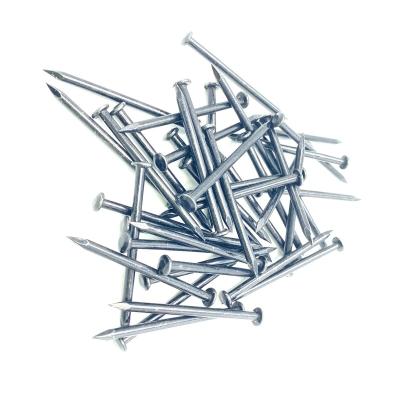 China Size Flat Electro Galvanized Concrete Nails Smooth Leg Factory Price Building Material Steel Flat Round Head 10-15days for sale