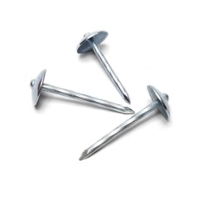 China Galvanized Flat Head Umbrella Roofing Nails With Smooth / Twist Leg By Low Price for sale