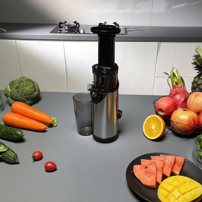 China New Design Slow Juicer Machine Household Cold Press Household Type Fruit Juicer for sale