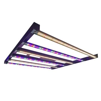 China Seed Starting USA Stocked 600W LED Planting Light Indoor UV IR Full Spectrum 600W LED Grow Light for sale