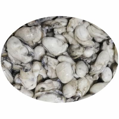 China Best FROZEN Fresh Frozen Oyster Meat with Big Size and Mild Taste for sale