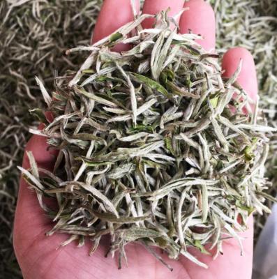 China Loose Price Best Organic Golden Silver Needle Private Label Tea White Tea For Sale for sale