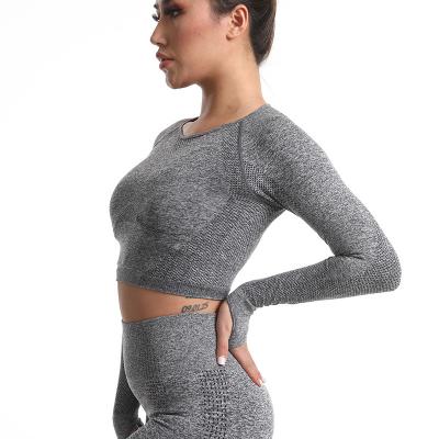 China Breathable Long Sleeve Sportswear Women Gym Fitness Sport Casual Short T-Shirt for sale