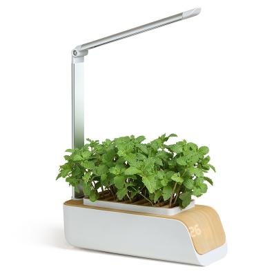 China New modern hot-selling garden household plant table lamp grass vegetable flower led hydroponic intelligent smart planter for sale