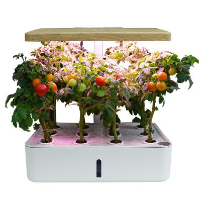 China Modern smart flowerpot hydroponic planting system suitable for vegetable tomato strawberry planting greenhouse garden planter for sale