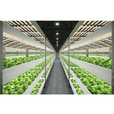 China US USA Factory Shipping SUNRAISE BAR2400 Dimmable Factory Free IR Seed Starting UV Led Grow Light Bar for sale