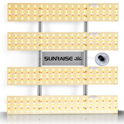 China Seed Starting OEM Supplied SUNRAISE QB2000 Full Spectrum Dimmable Led Grow Light for sale