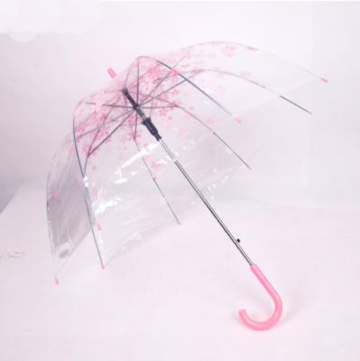 China Farm Ladies Apollo Cherry Printing Transparent Umbrella for sale