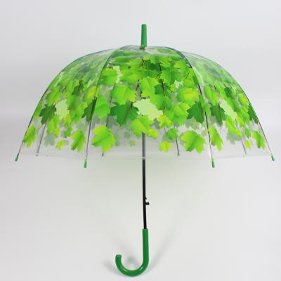 China Contemporary Creative Transparent Clear Clear Bubble Shape Automatic Dome Umbrella For Rain for sale