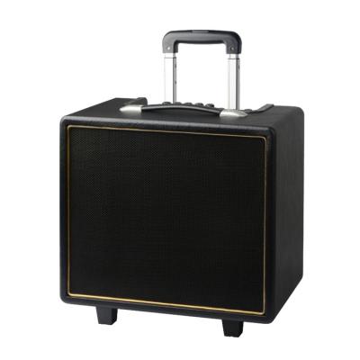 China Large Trolley 50W PORTABLE Outdoor Portable Guitar Blue Tooth Active Speaker for sale