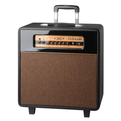 China High Quality Wireless Outdoor Portable Blue Tooth Guitar 30W Active Trolley Speaker for sale