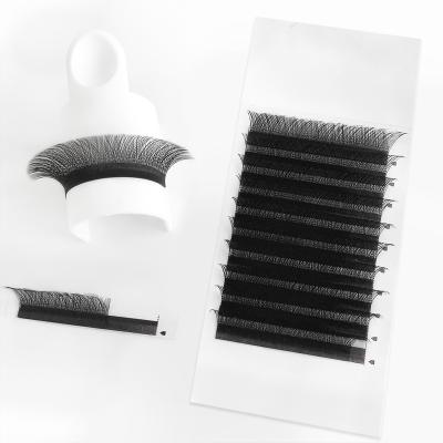 China Natural Long Yy Shape Hand - Woven Premium Volume Y Lash Trays Mink Group Eyelash Extension Trays Soft Light Easy Fan for sale