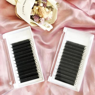 China Long Natural Professional Volume Lash Extention C Lios Yy Eyelashes Matte Faux Mink Clusters False Curl Different Lashes 0.07mm Yy for sale