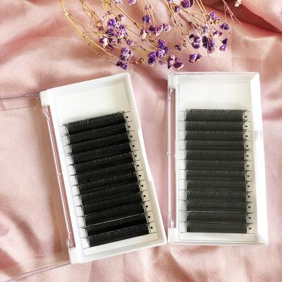 China Long Natural Classic Korean Colorful Individualidual Eyelash Extension Professional Supplies Simple Eyelash Extension Seller for sale