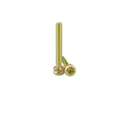 China Pan China Quality Fastener Supplier Hardware Tools Pan Head With Point Combination Screw P-WM for sale