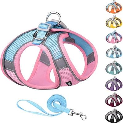 China Soft Breathable Stocked Mesh Padded No Pull Dog Reflective Polyester Pet Vest Harness Set For Small Medium Large Dog for sale