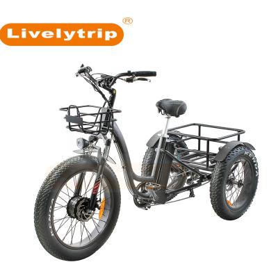 China New Type Front Hub Motor 3 Wheel Fat Tire Aluminum Alloy Cargo Electric Bike Electric Tricycles Bicycle for sale